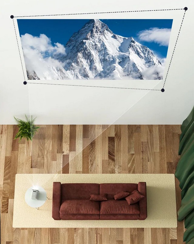 24пцкици.jpg 24пцкици.jpg