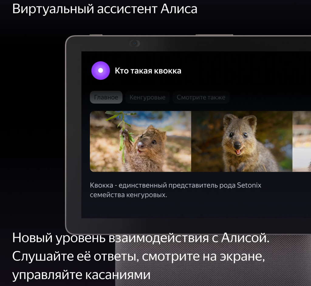 Копия optimize (16).jpg Копия optimize (16).jpg