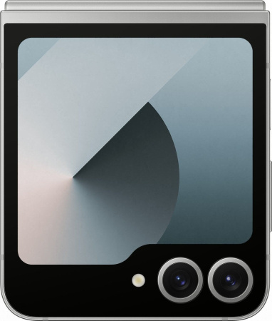 Samsung Galaxy Z Flip 6 12/256Gb Серебристый