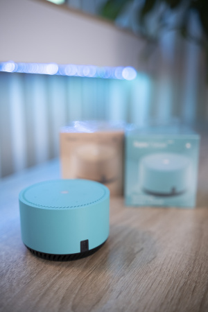 Яндекс Станция Лайт Мята