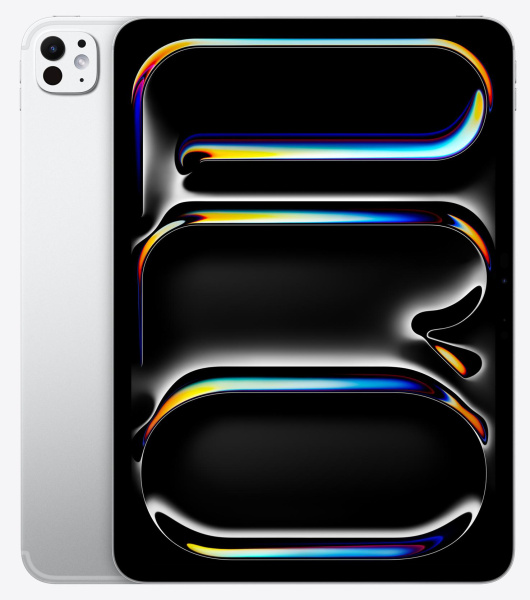 Apple iPad Pro 13&quot; (2024) 256Gb Wi-Fi+Cellular Silver (M4)
