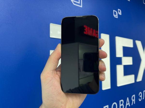 iPhone 13 Pro 256Gb Space Gray (TRD) 356310702286843