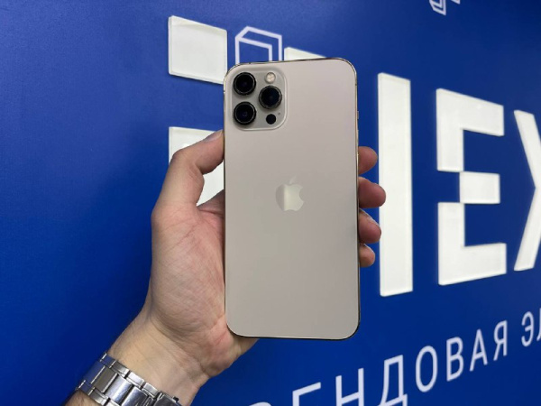 iPhone 12 Pro Max 256Gb Gold (TRD) 351232998737559