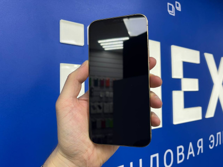 iPhone 12 Pro Max 256Gb Gold (TRD) 351232998737559