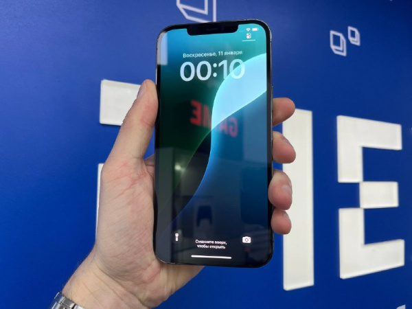 iPhone 12 Pro Max 256GB Graphite (TRD) 354440899180335